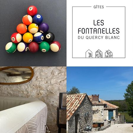 Вілла Les Fontanelles Du Quercy Blanc Montcuq Екстер'єр фото
