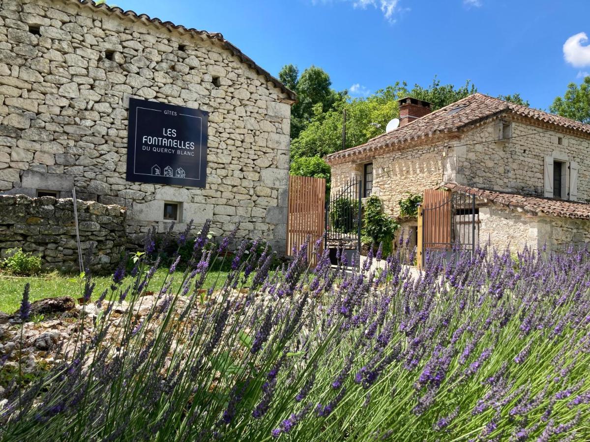 Вілла Les Fontanelles Du Quercy Blanc Montcuq Екстер'єр фото