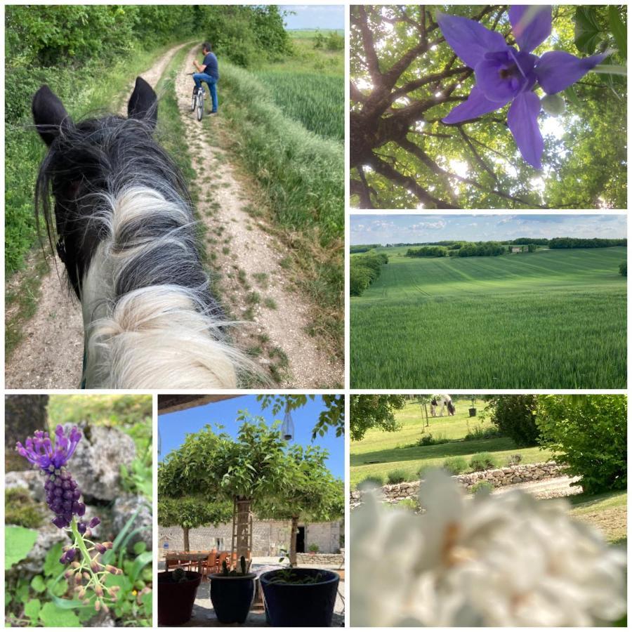 Вілла Les Fontanelles Du Quercy Blanc Montcuq Екстер'єр фото