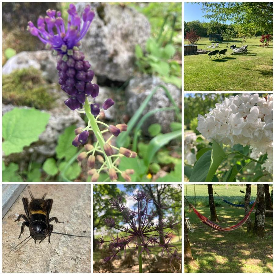 Вілла Les Fontanelles Du Quercy Blanc Montcuq Екстер'єр фото