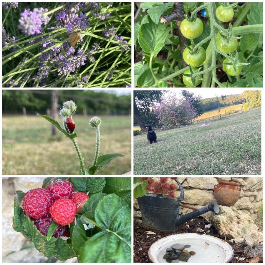 Вілла Les Fontanelles Du Quercy Blanc Montcuq Екстер'єр фото