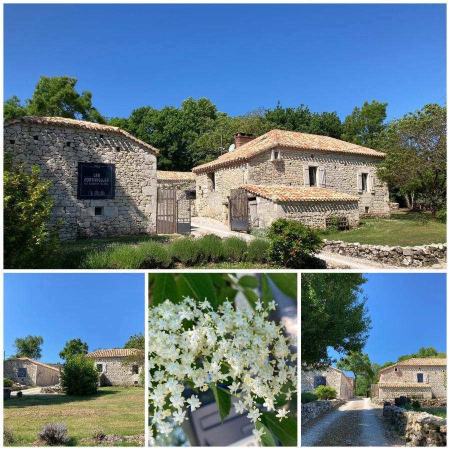 Вілла Les Fontanelles Du Quercy Blanc Montcuq Екстер'єр фото