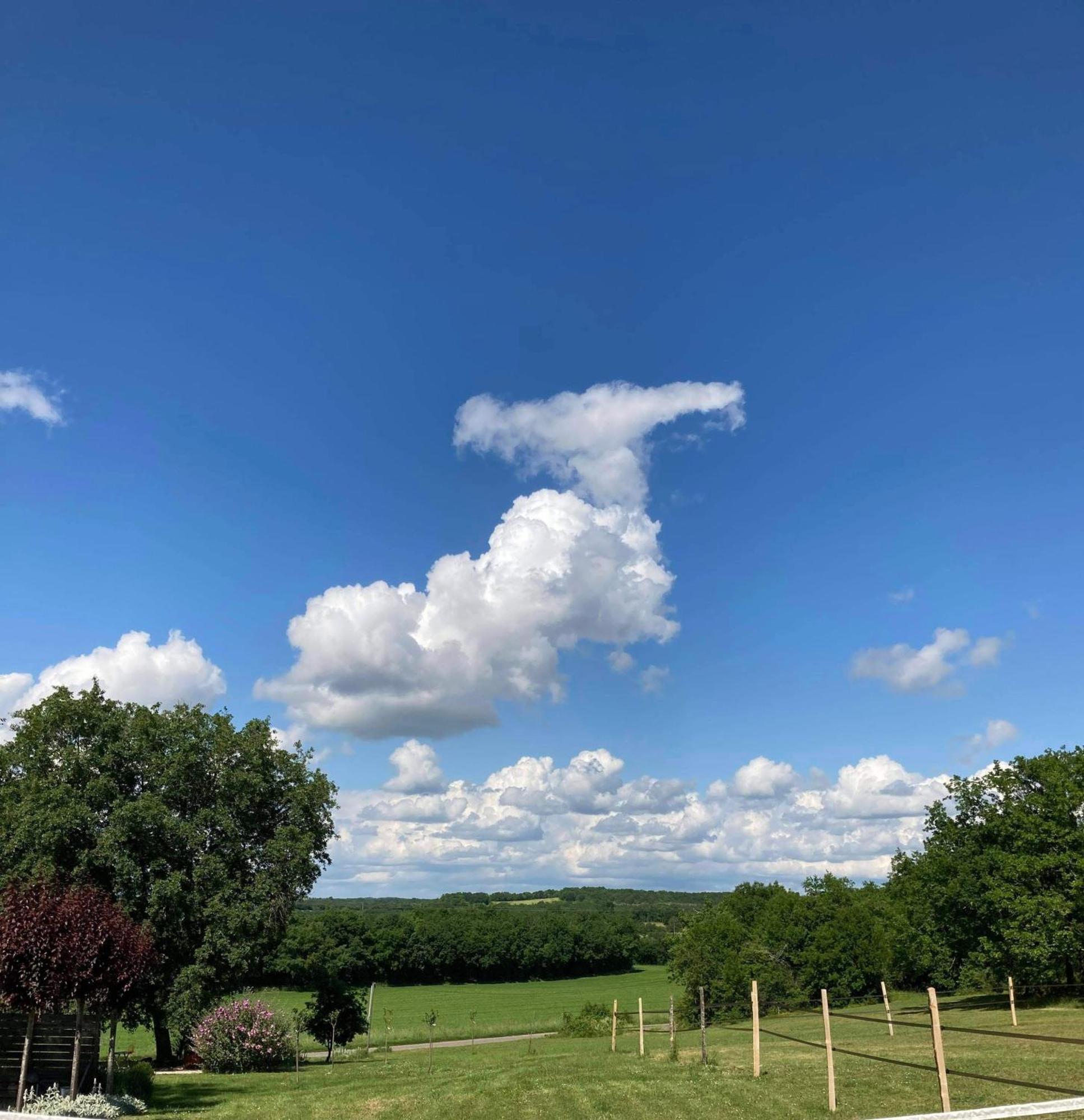 Вілла Les Fontanelles Du Quercy Blanc Montcuq Екстер'єр фото