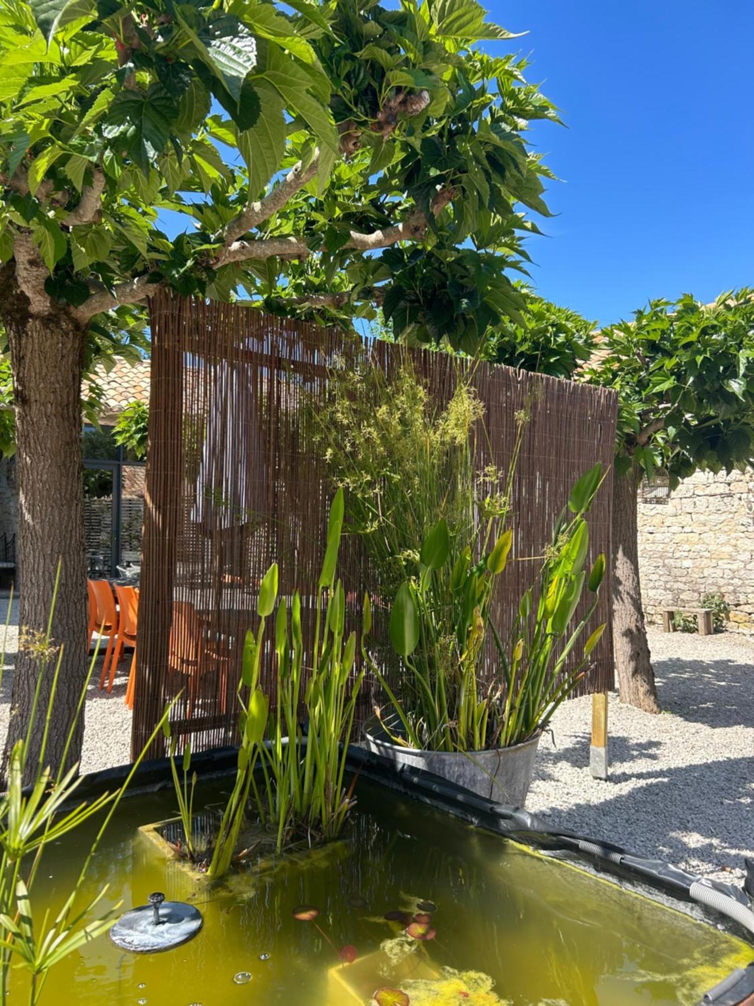 Вілла Les Fontanelles Du Quercy Blanc Montcuq Екстер'єр фото